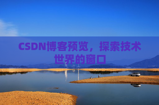 CSDN博客预览,探索技术世界的窗口